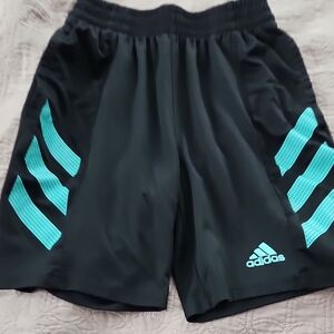 Adidas Men's Black Shorts with Teal Stripes